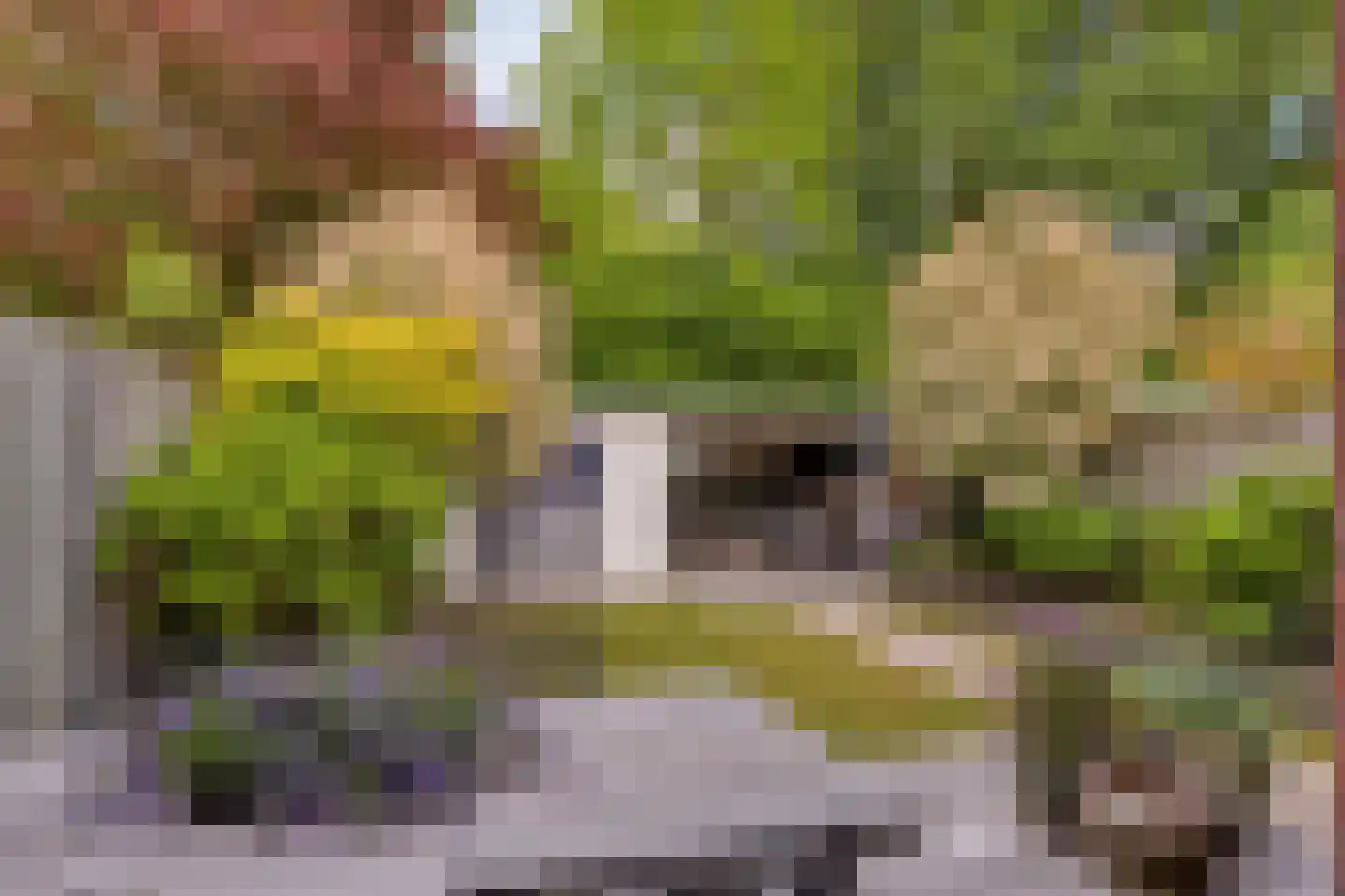 Veenmos 58 Boekel thumbnail 31