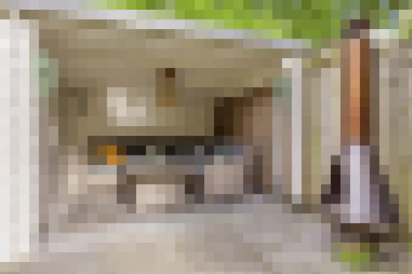 Veenmos 58 Boekel thumbnail 32