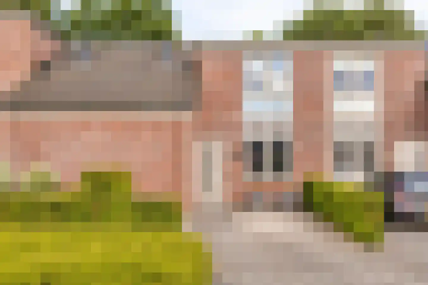 Veenmos 58 Boekel thumbnail 33