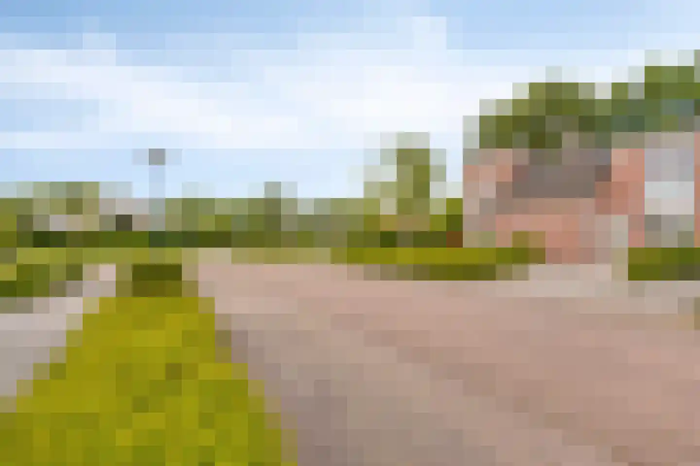 Veenmos 58 Boekel thumbnail 34