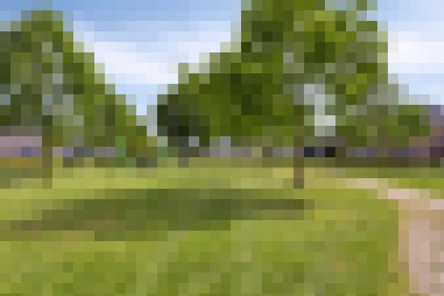 Veenmos 58 Boekel thumbnail 35