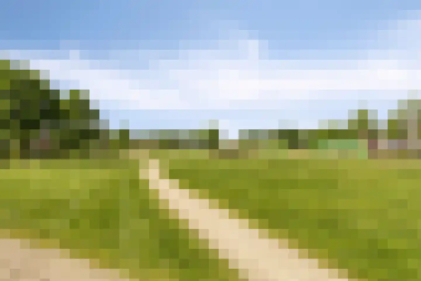 Veenmos 58 Boekel thumbnail 36