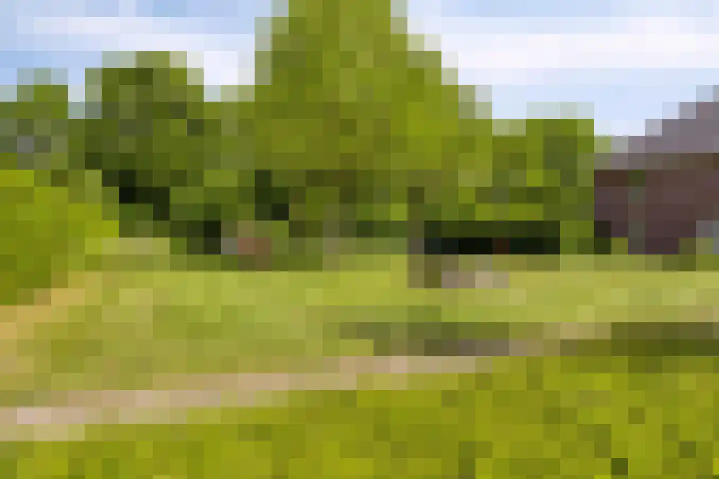 Veenmos 58 Boekel thumbnail 37