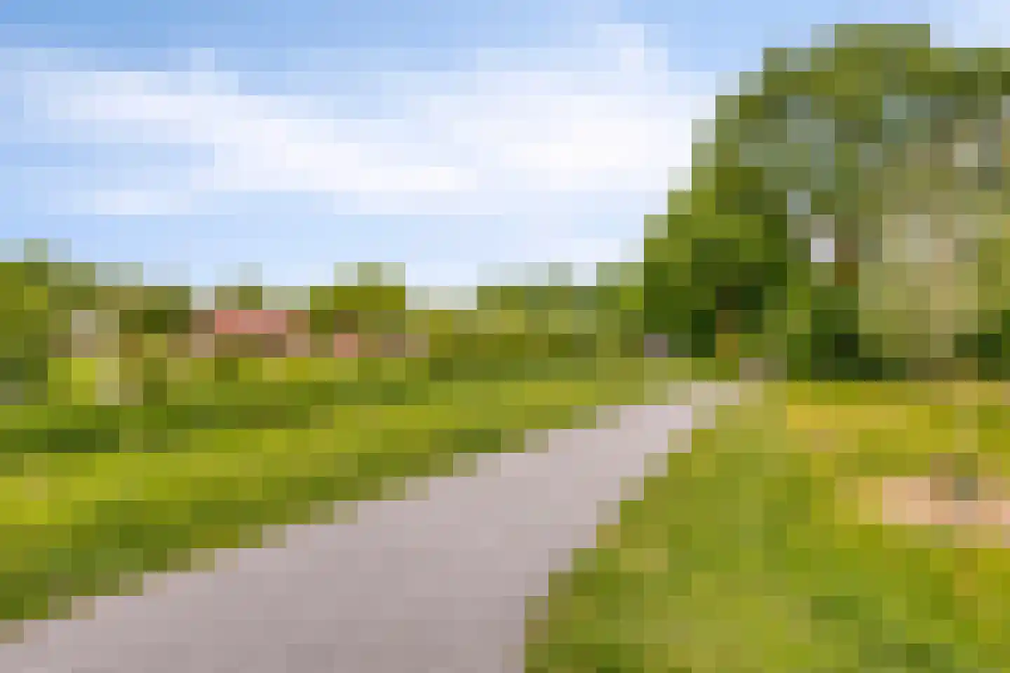 Veenmos 58 Boekel thumbnail 38