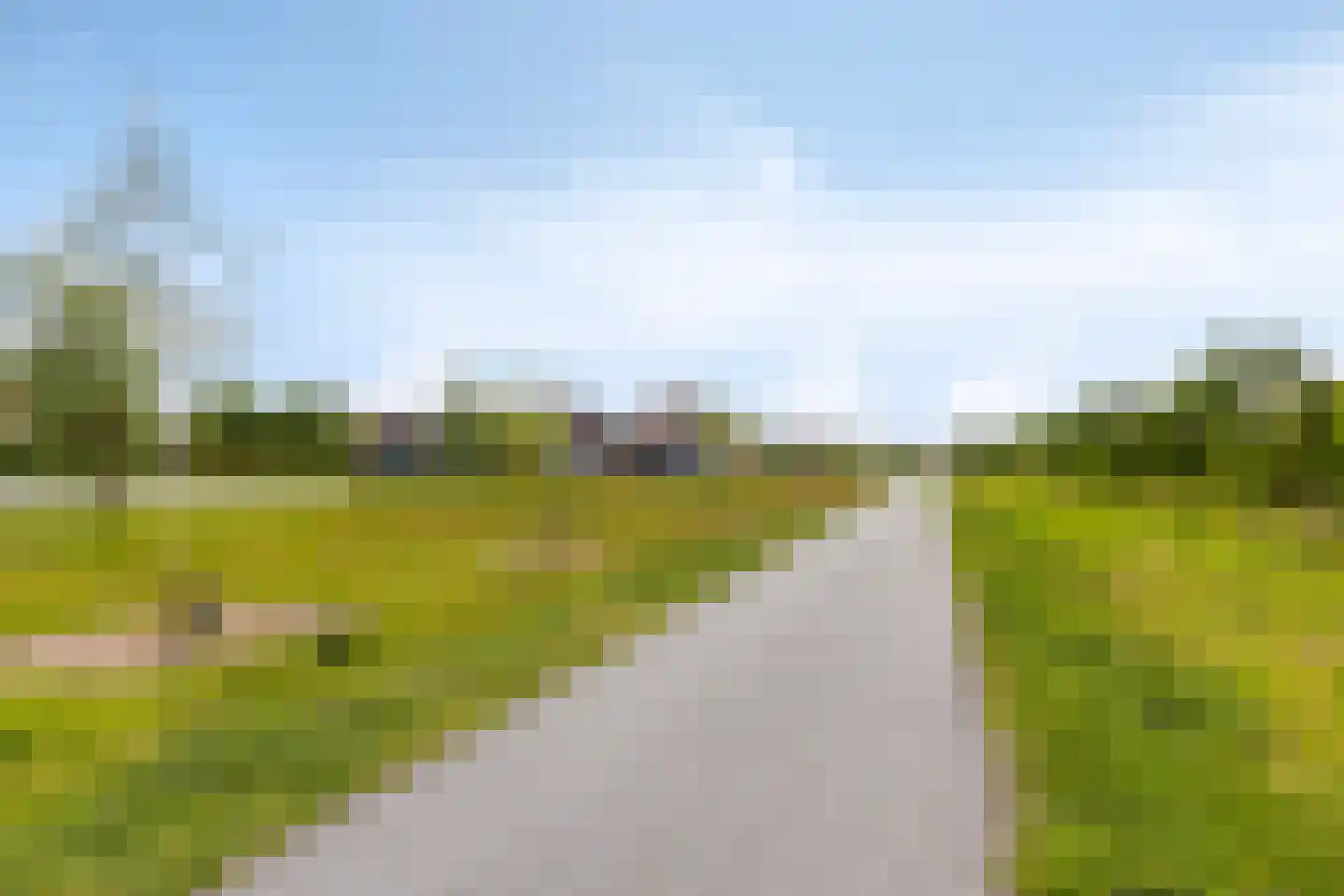 Veenmos 58 Boekel thumbnail 39
