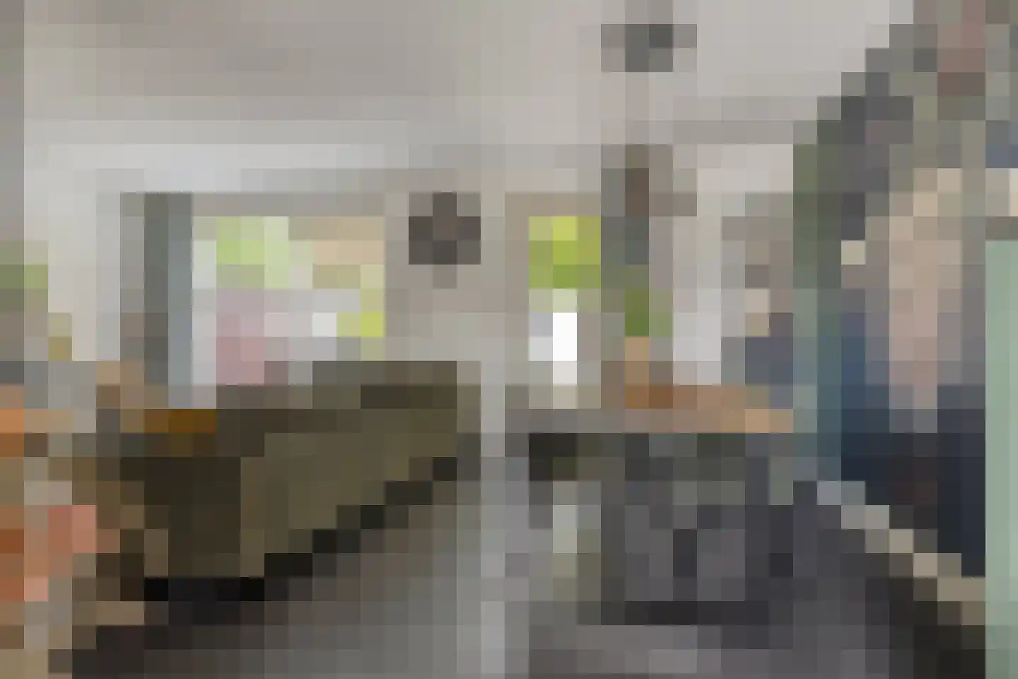 Veenmos 58 Boekel thumbnail 5