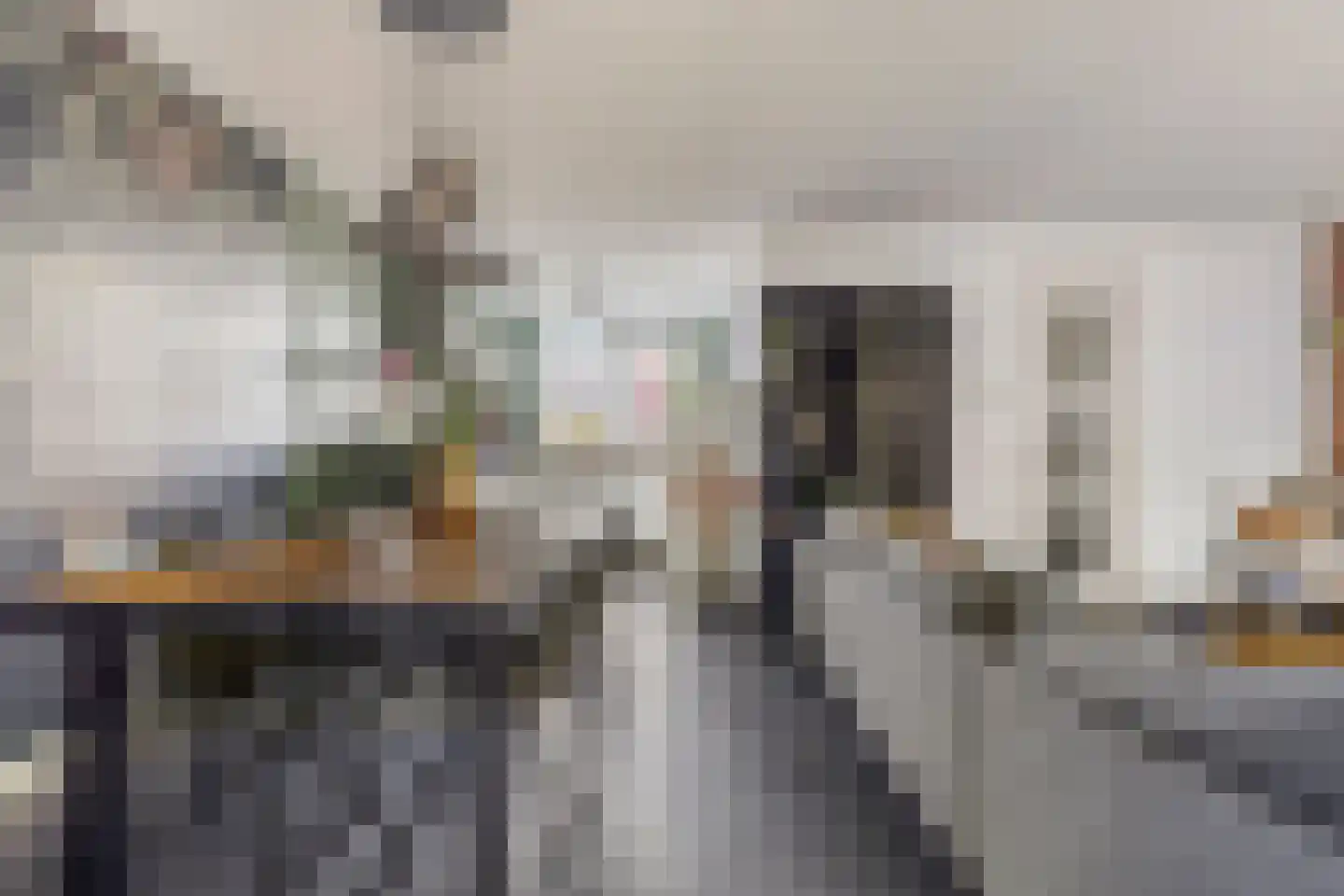Veenmos 58 Boekel thumbnail 7
