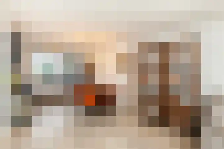 Veenmos 6 Alblasserdam thumbnail 10