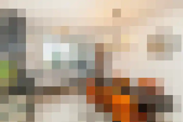 Veenmos 6 Alblasserdam thumbnail 11