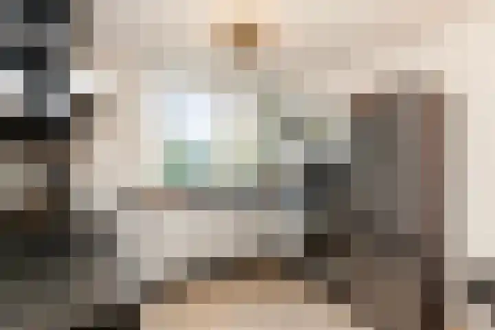 Veenmos 6 Alblasserdam thumbnail 12