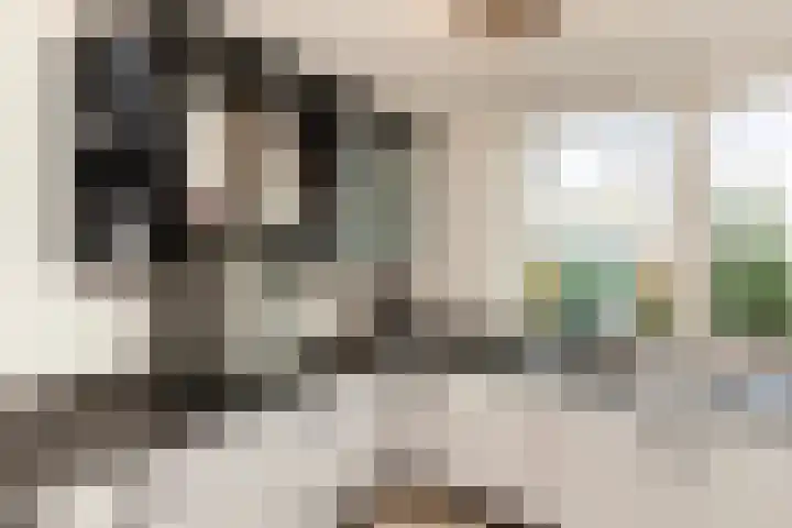 Veenmos 6 Alblasserdam thumbnail 13