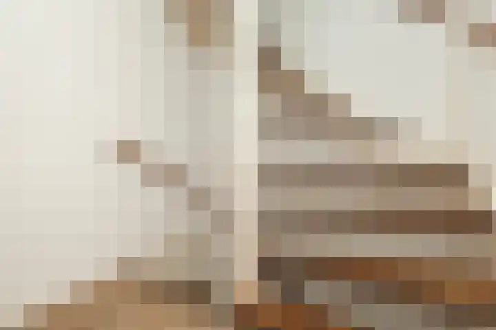 Veenmos 6 Alblasserdam thumbnail 14