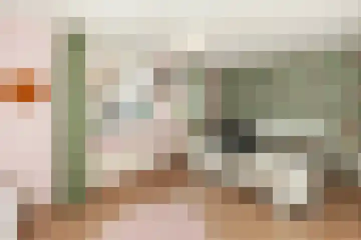 Veenmos 6 Alblasserdam thumbnail 15