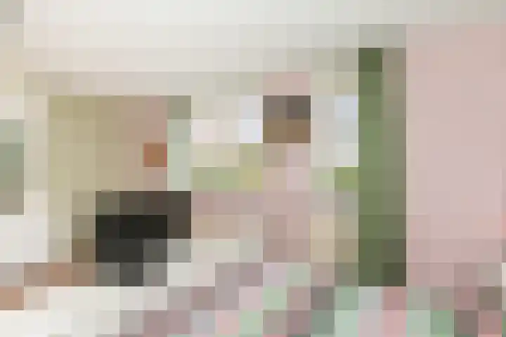 Veenmos 6 Alblasserdam thumbnail 16