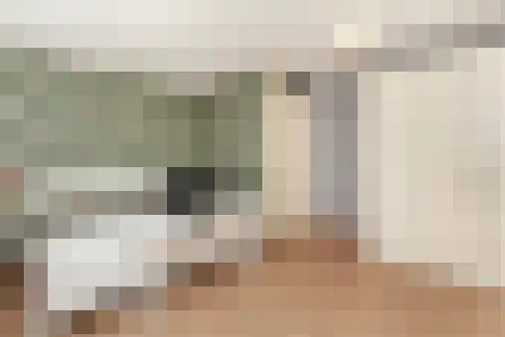 Veenmos 6 Alblasserdam thumbnail 17