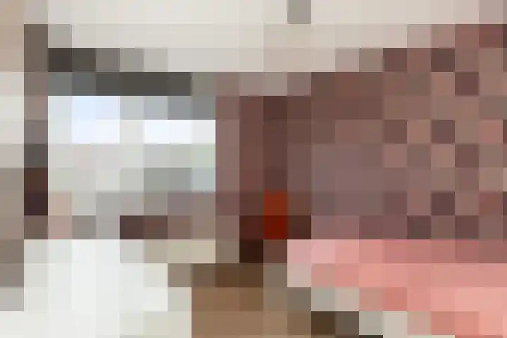 Veenmos 6 Alblasserdam thumbnail 18