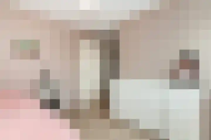 Veenmos 6 Alblasserdam thumbnail 20