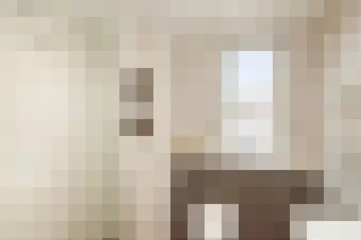 Veenmos 6 Alblasserdam thumbnail 23