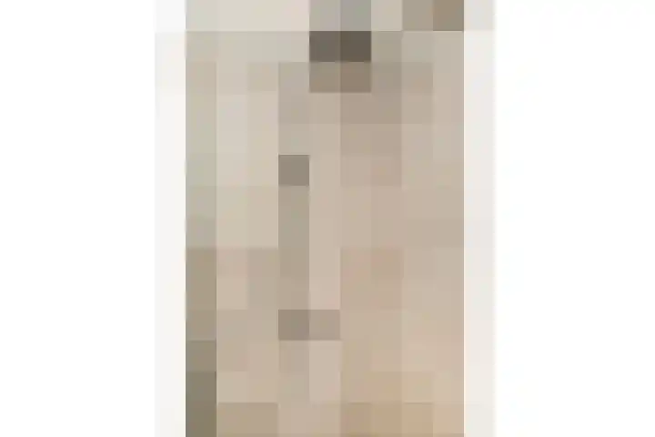Veenmos 6 Alblasserdam thumbnail 24