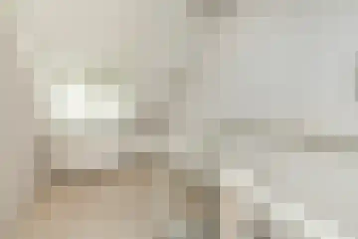 Veenmos 6 Alblasserdam thumbnail 25