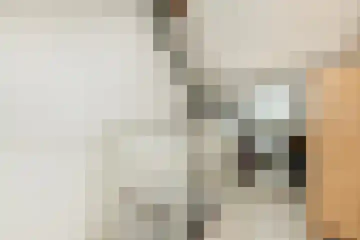 Veenmos 6 Alblasserdam thumbnail 26