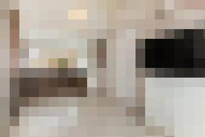 Veenmos 6 Alblasserdam thumbnail 27