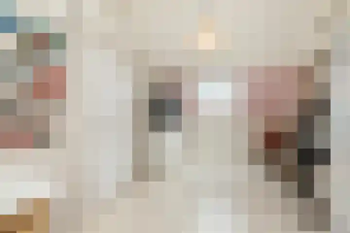 Veenmos 6 Alblasserdam thumbnail 28