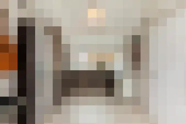 Veenmos 6 Alblasserdam thumbnail 29