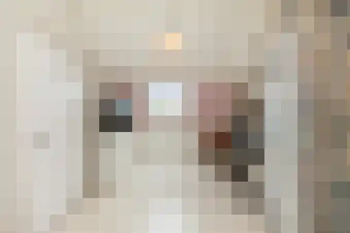 Veenmos 6 Alblasserdam thumbnail 30