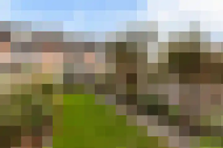 Veenmos 6 Alblasserdam thumbnail 32