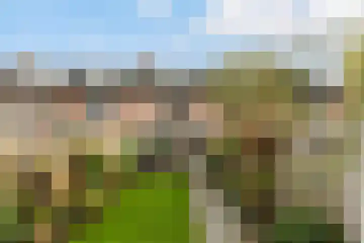 Veenmos 6 Alblasserdam thumbnail 34