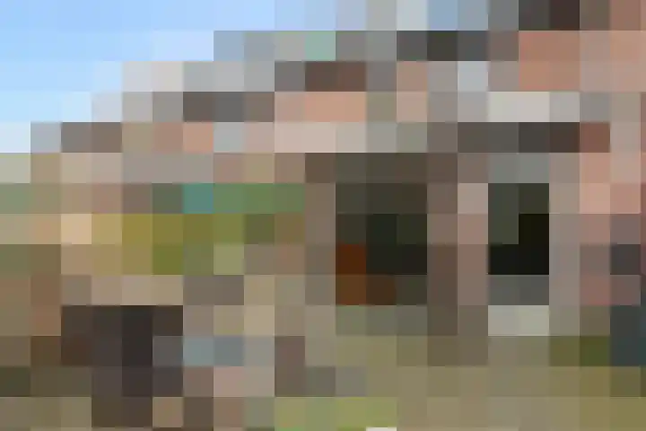 Veenmos 6 Alblasserdam thumbnail 35