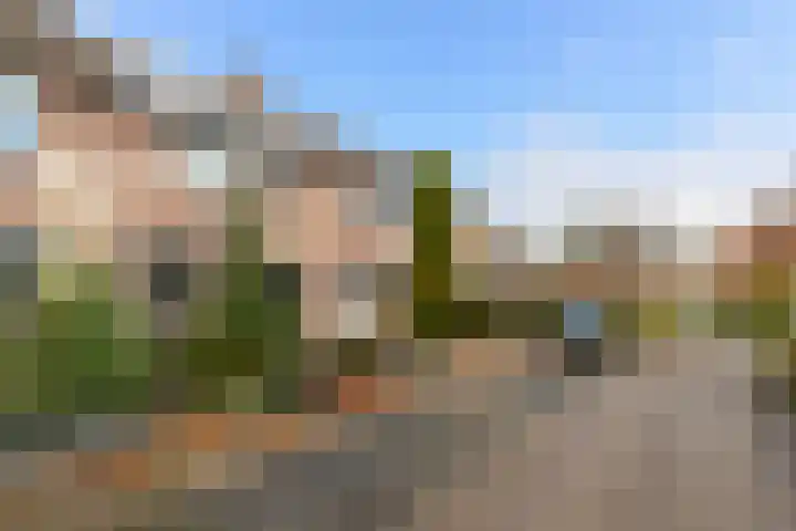 Veenmos 6 Alblasserdam thumbnail 36