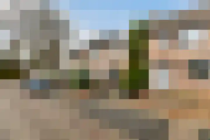 Veenmos 6 Alblasserdam thumbnail 37