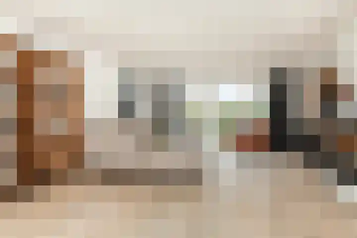 Veenmos 6 Alblasserdam thumbnail 5