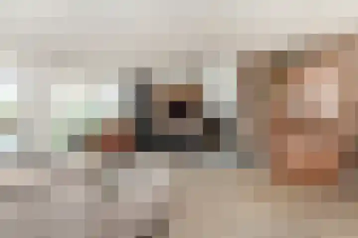 Veenmos 6 Alblasserdam thumbnail 7