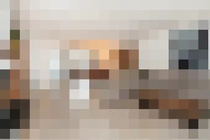 Veenmos 6 Alblasserdam thumbnail 8