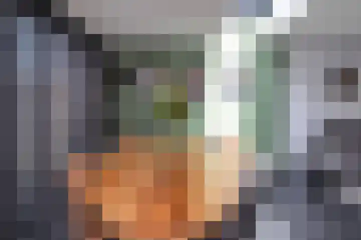Veenmos 65 Zwolle thumbnail 10