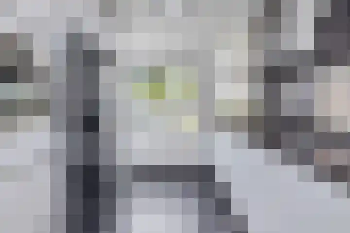 Veenmos 65 Zwolle thumbnail 12