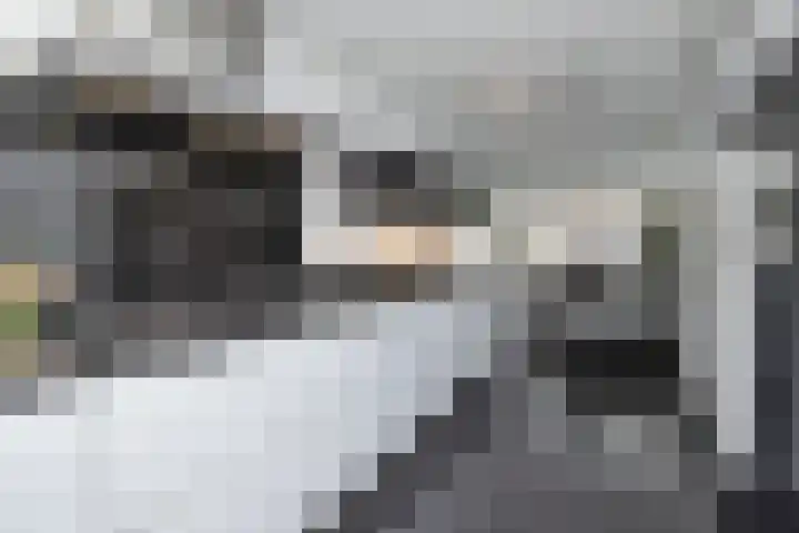Veenmos 65 Zwolle thumbnail 14