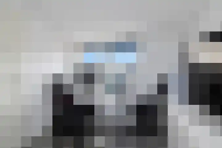 Veenmos 65 Zwolle thumbnail 23