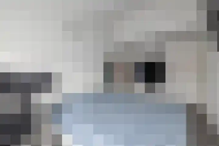 Veenmos 65 Zwolle thumbnail 25