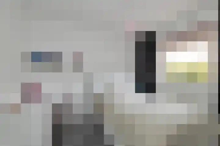 Veenmos 65 Zwolle thumbnail 27