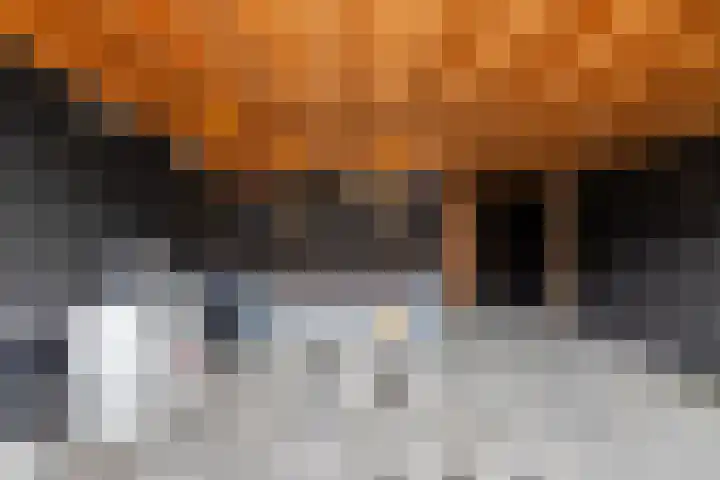 Veenmos 65 Zwolle thumbnail 29