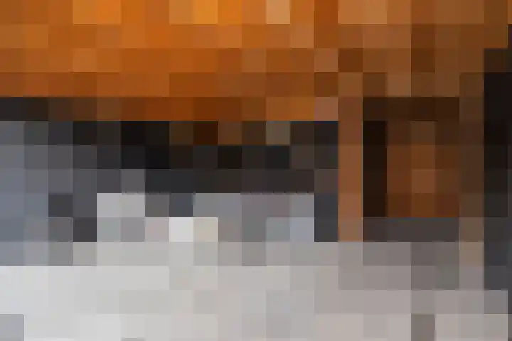 Veenmos 65 Zwolle thumbnail 30