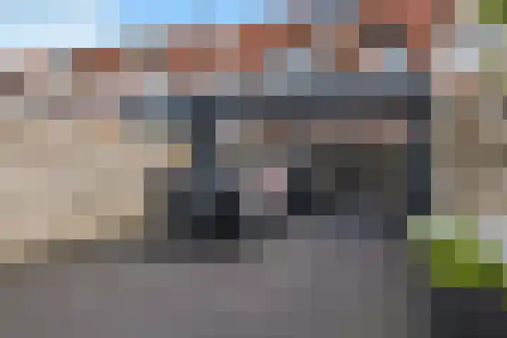 Veenmos 65 Zwolle thumbnail 31