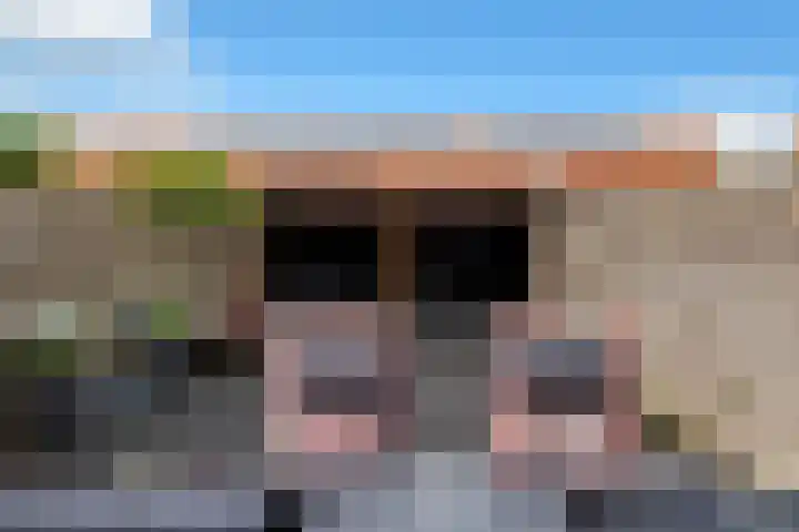 Veenmos 65 Zwolle thumbnail 33