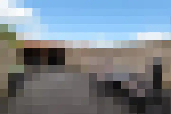 Veenmos 65 Zwolle thumbnail 34