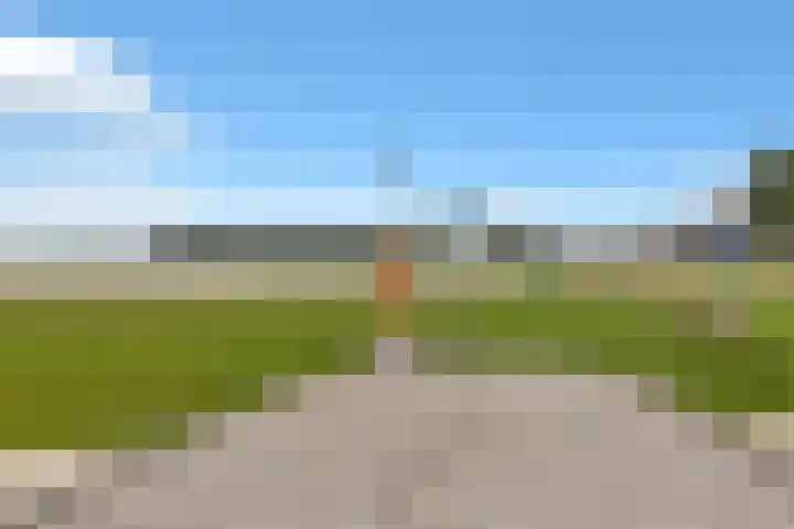 Veenmos 65 Zwolle thumbnail 35