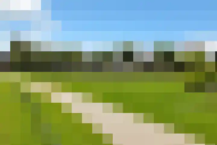 Veenmos 65 Zwolle thumbnail 36